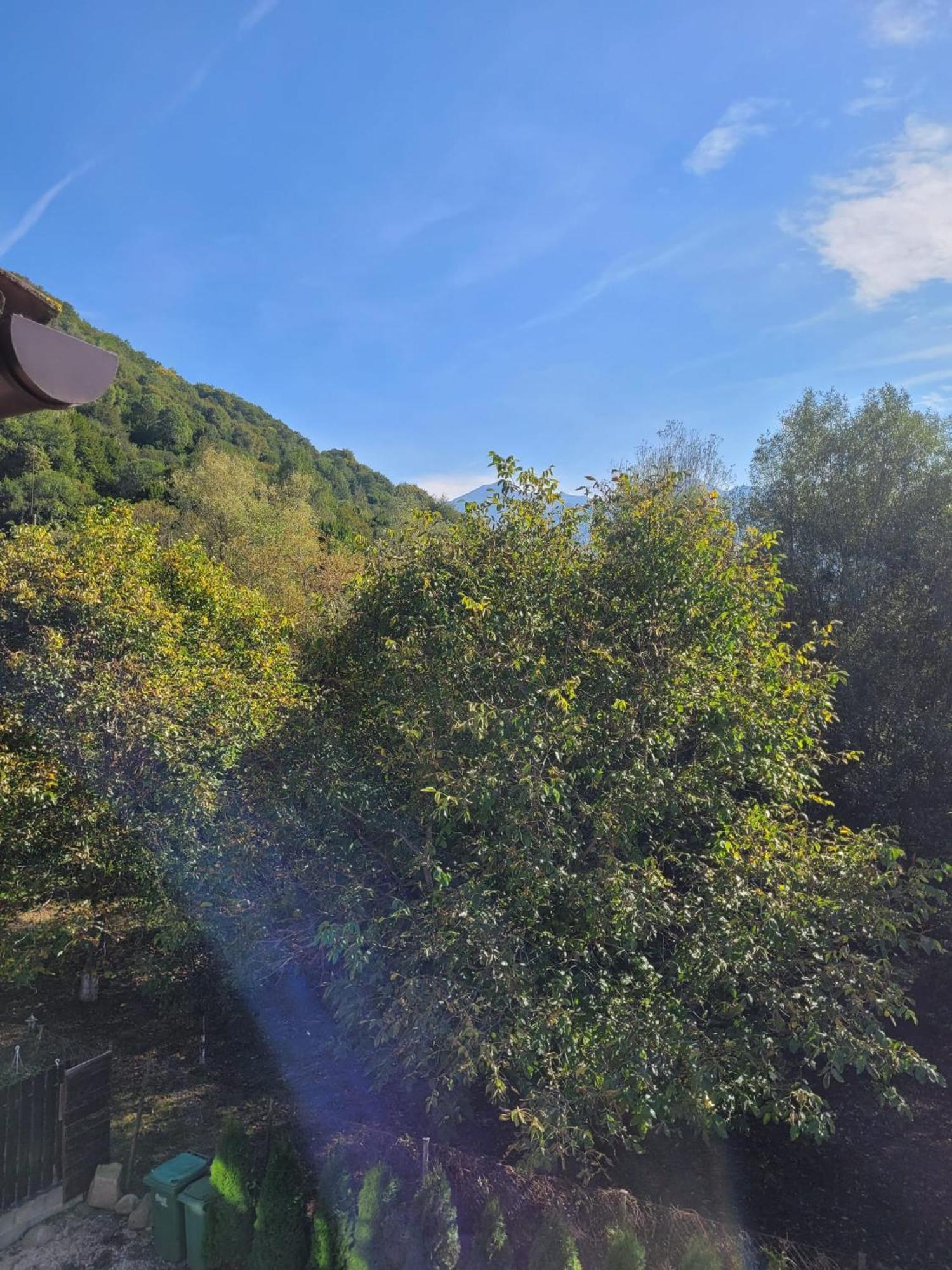 Vila Emma Risnov Bagian luar foto