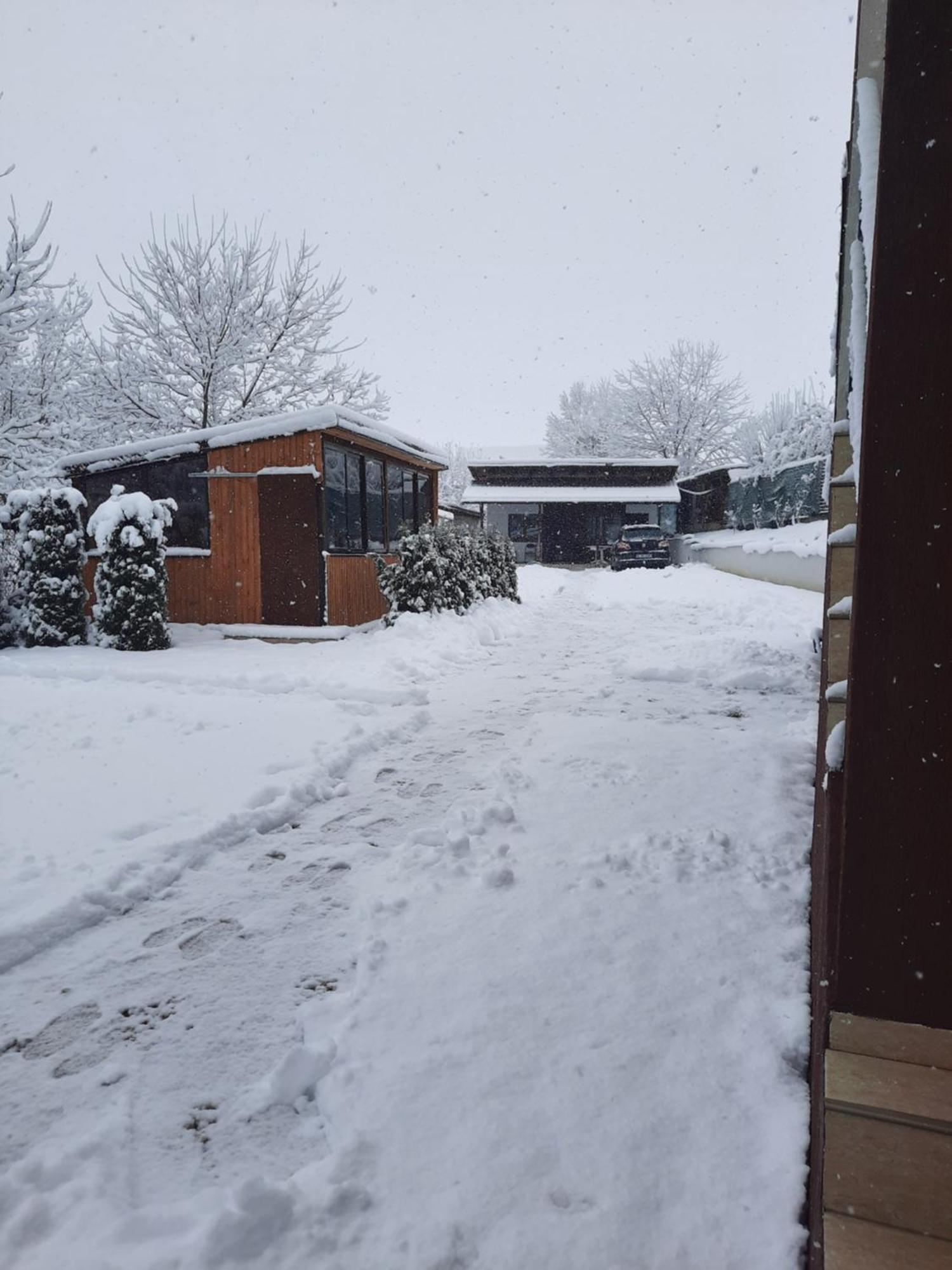 Vila Emma Risnov Bagian luar foto